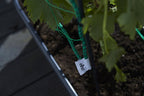 Elho Green Basics Veggie Wall 80 Cm