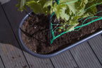 Elho Green Basics Veggie Wall 80 Cm