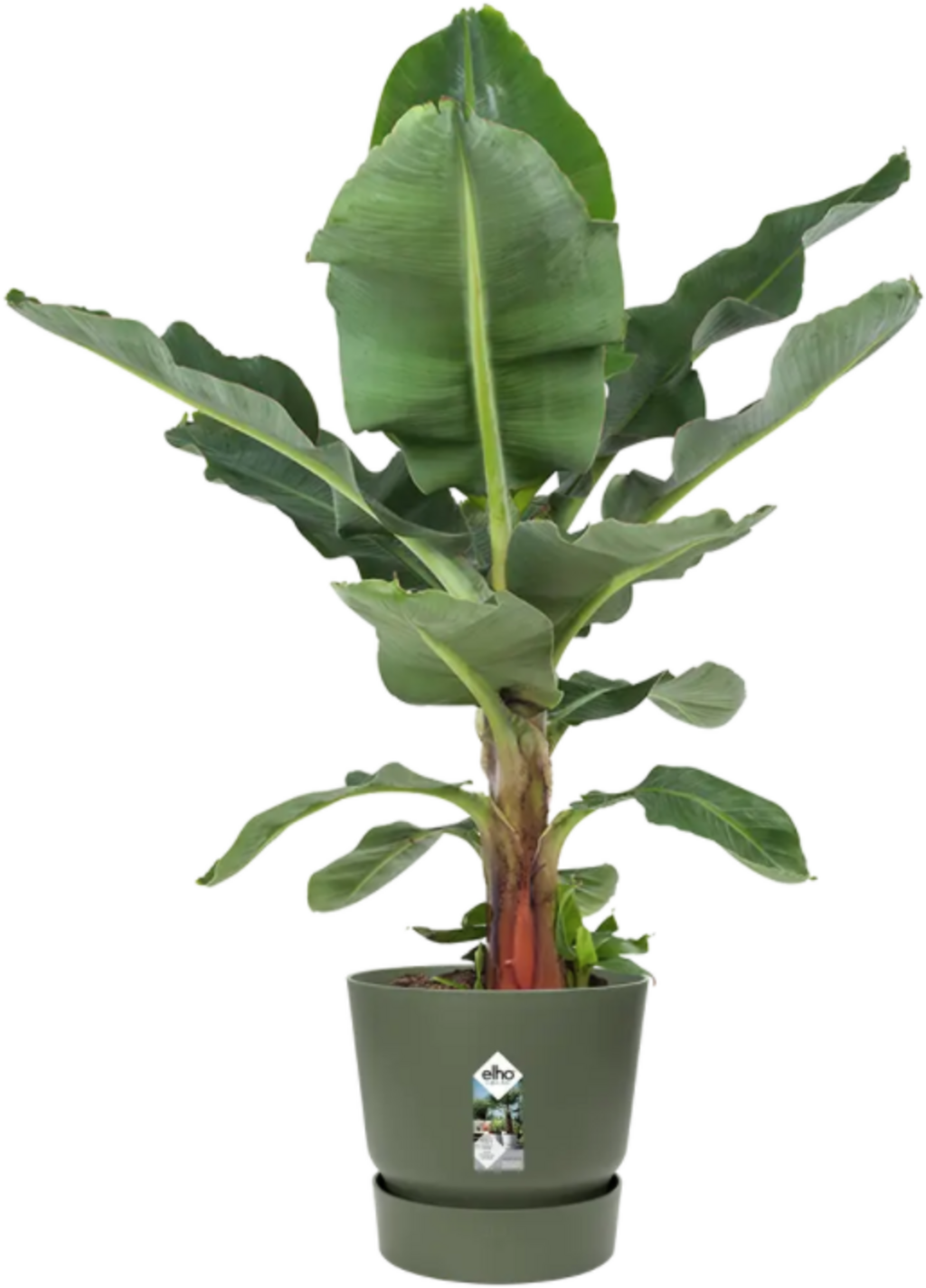Elho Greenville Topf Rund 40 Cm, Laubgrün