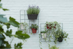 Elho Loft Urban Green Wall "Duo" 28 Cm, Weiss