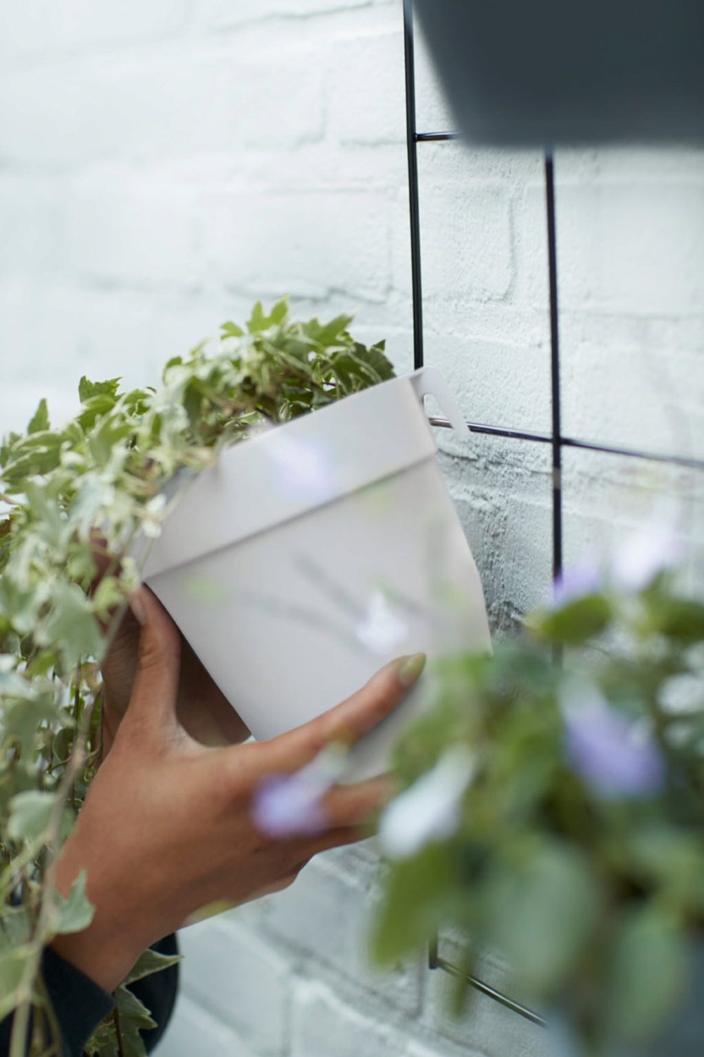 Elho Loft Urban Green Wall "Duo" 28 Cm, Weiss