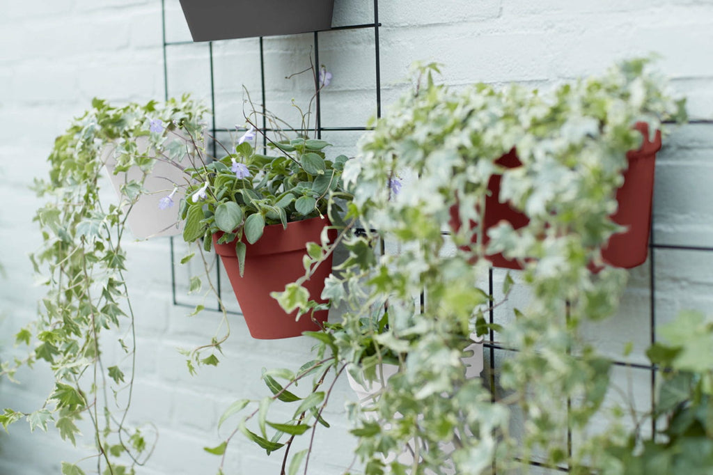 Elho Loft Urban Green Wall "Duo" 28 Cm, Weiss