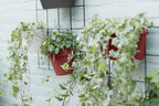 Elho Loft Urban Green Wall "Duo" 28 Cm, Weiss