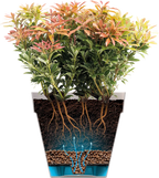 Elho Loft Urban Rund Hoch 28, Anthrazit