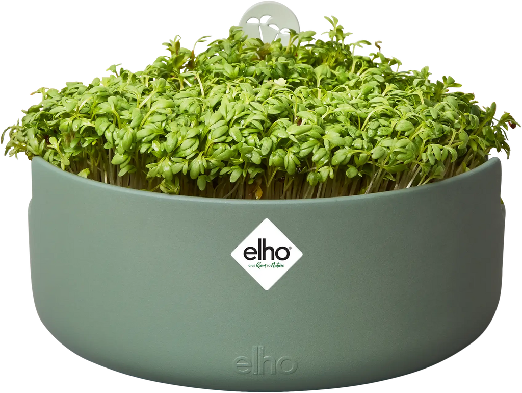 Elho Microgreens Anzuchtgefäß "magic Microgreens", Laubgrün