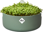 Elho Microgreens Anzuchtgefäß "magic Microgreens", Laubgrün