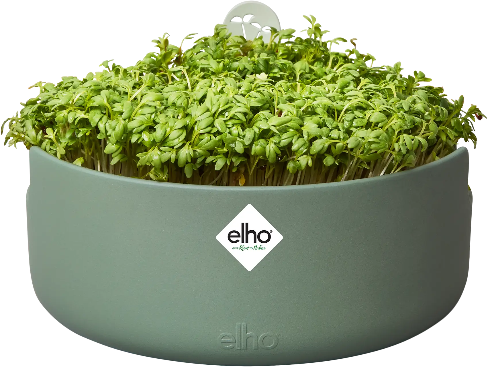 Elho Microgreens Anzuchtgefäß "magic Microgreens", Laubgrün