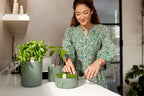 Elho Microgreens Anzuchtgefäß "magic Microgreens", Laubgrün