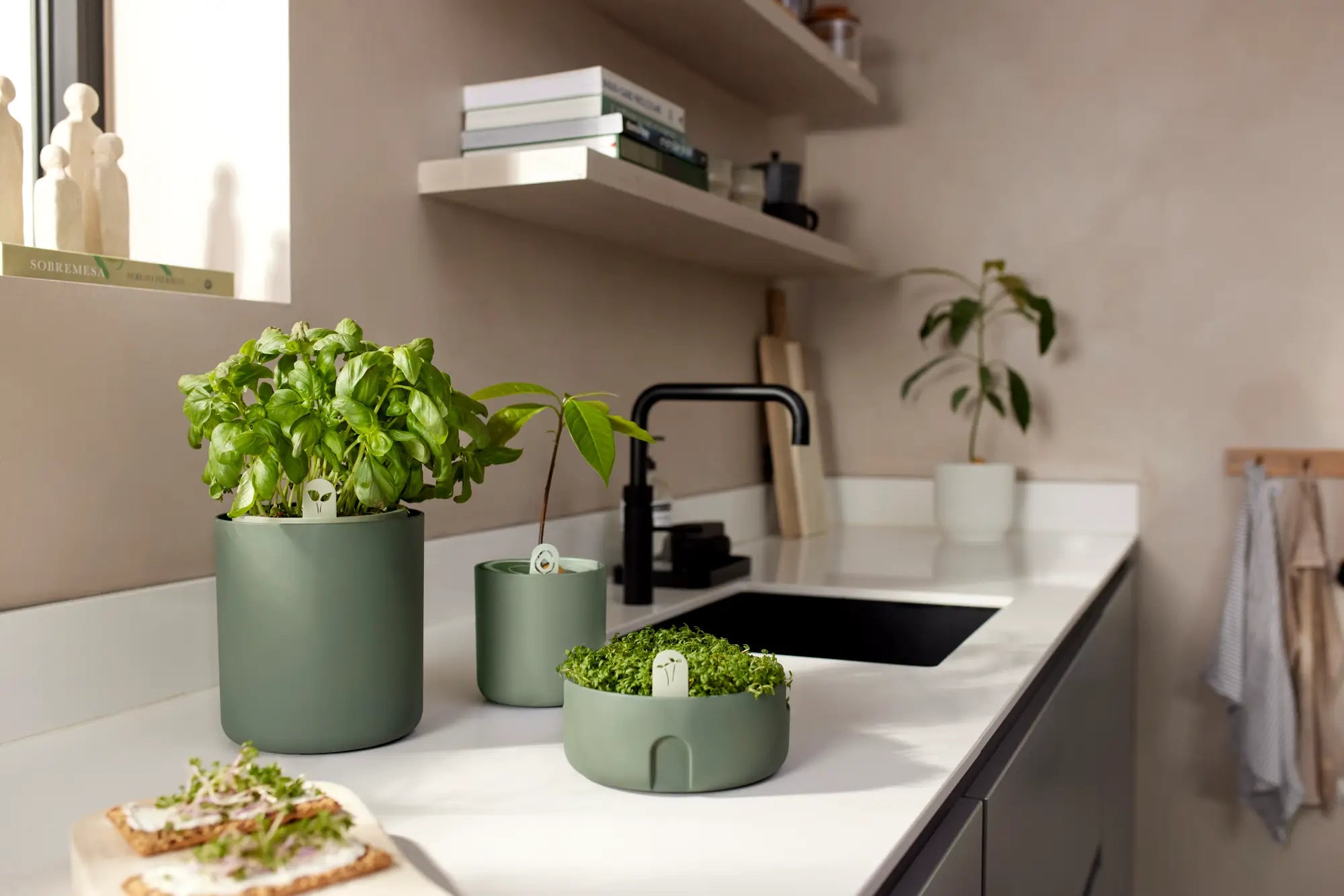 Elho Microgreens Anzuchtgefäß "magic Microgreens", Laubgrün