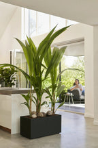 Elho Pflanzkasten Vivo Next Lang - 80 Cm, Living Schwarz