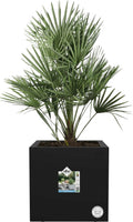 Elho Pflanztopf Vivo Next Quadrat - 40 Cm, Living Schwarz