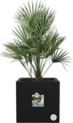 Elho Pflanztopf Vivo Next Quadrat - 40 Cm, Living Schwarz