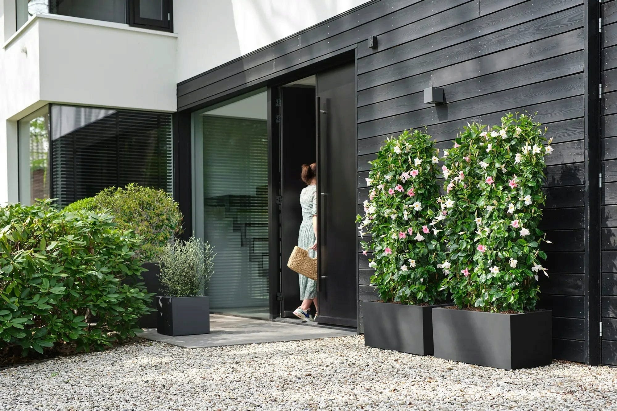 Elho Pflanztopf Vivo Next Quadrat - 40 Cm, Living Schwarz