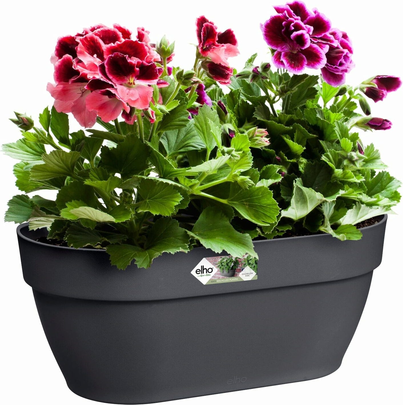 Elho Vibia Campana Wandampel 35 Cm, Anthrazit