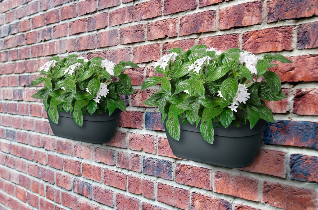 Elho Vibia Campana Wandampel 35 Cm, Anthrazit