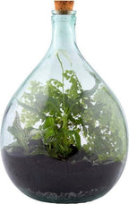 ESSCHERT DESIGN Drainagesteine Für Terrarien, Grauweiß