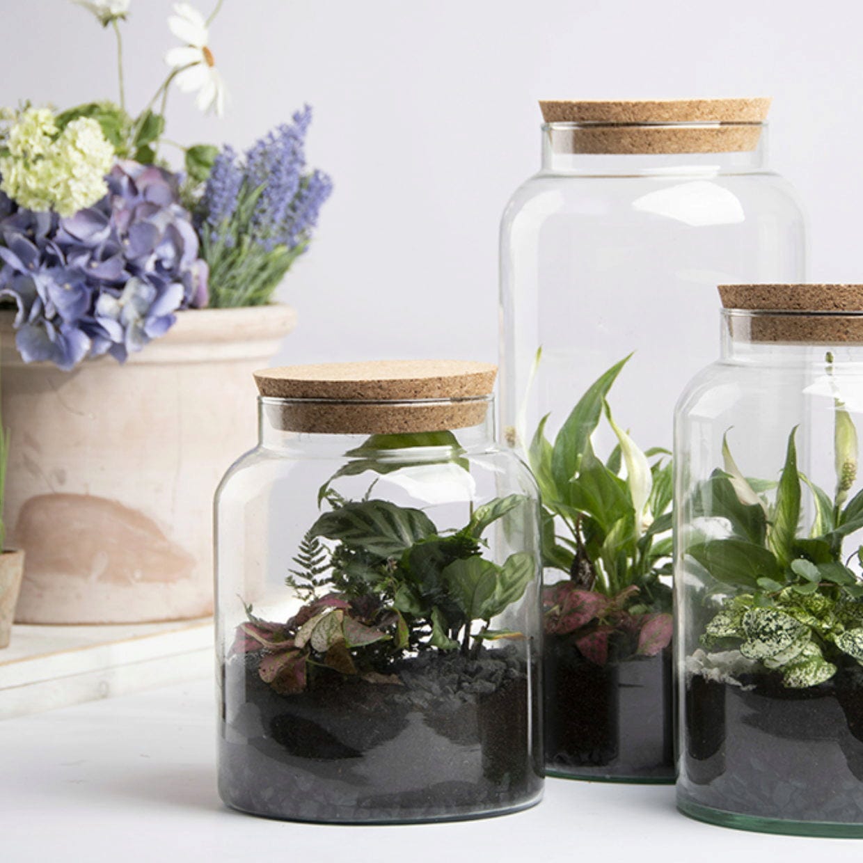 ESSCHERT DESIGN Halboffene Terrariumflasche, M