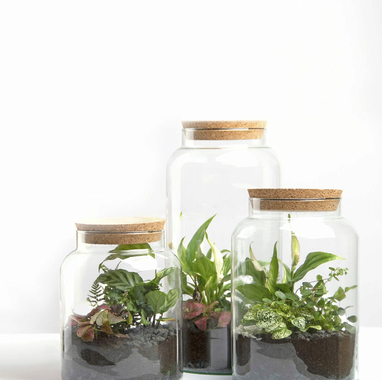 ESSCHERT DESIGN Halboffene Terrariumflasche, M