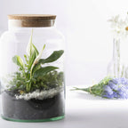 ESSCHERT DESIGN Halboffene Terrariumflasche, M