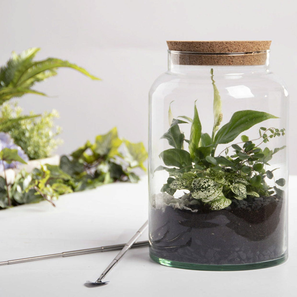 ESSCHERT DESIGN Halboffene Terrariumflasche, M