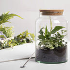 ESSCHERT DESIGN Halboffene Terrariumflasche, M