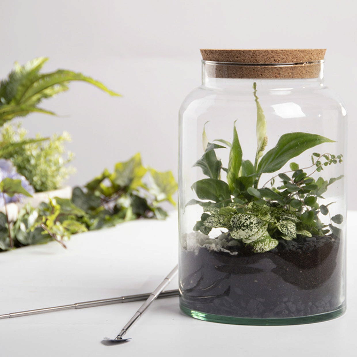 ESSCHERT DESIGN Halboffene Terrariumflasche, M