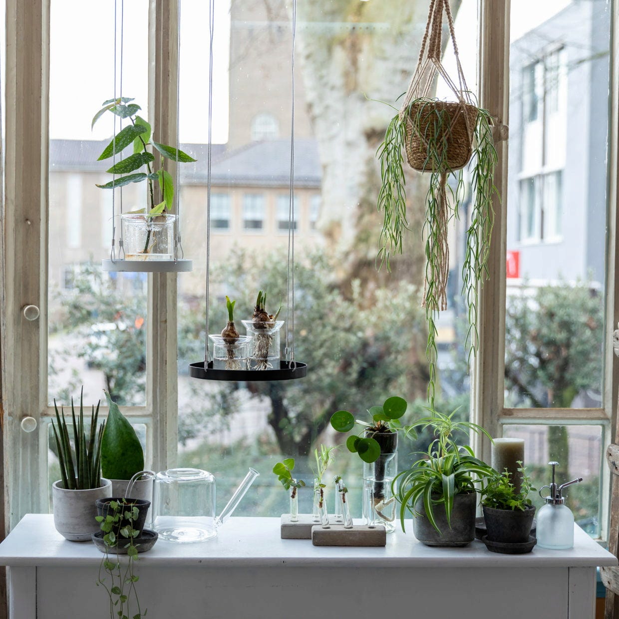 ESSCHERT DESIGN Keimvase, L