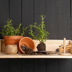 ESSCHERT DESIGN Klappbare Gartenbar S