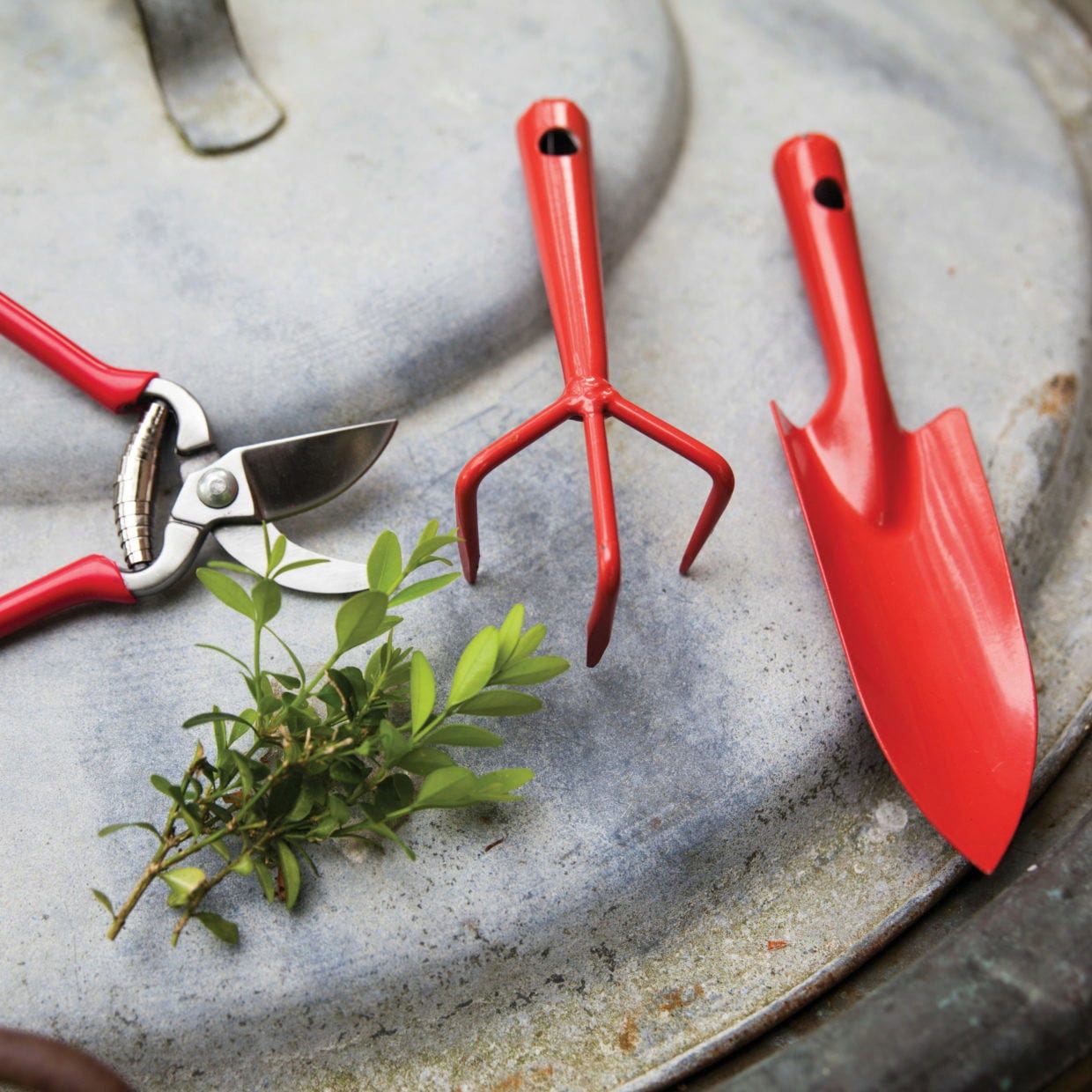 ESSCHERT DESIGN Mini Gartenschere
