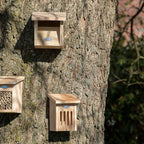 ESSCHERT DESIGN Nistkasten "Rotkehlchen"