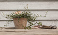 ESSCHERT DESIGN Verkupferte Minitools Schippe/Harke