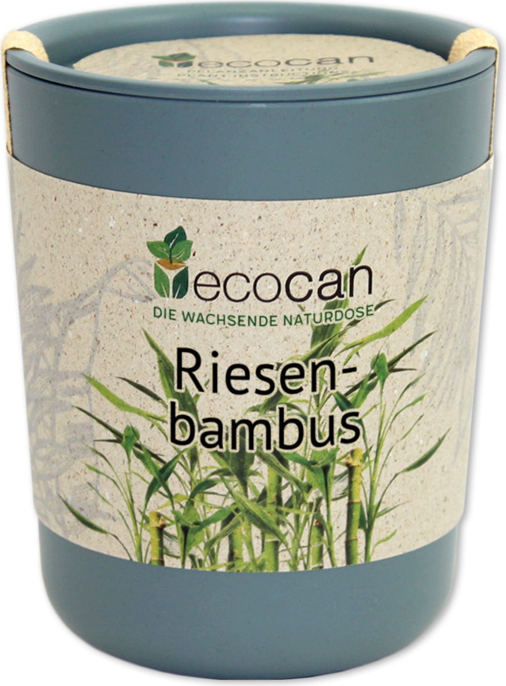  Ecocan "Exotics", Riesenbambus