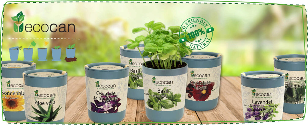  Ecocan "Schokoladenblume"