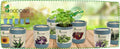  Ecocan "Schokoladenblume"