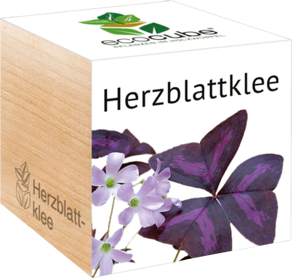  Ecocube "Herzblattklee"