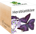 Ecocube "Herzblattklee"