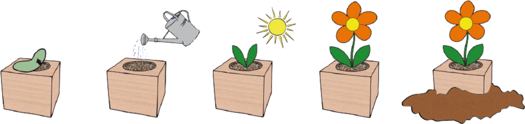  Ecocube "Herzblattklee"