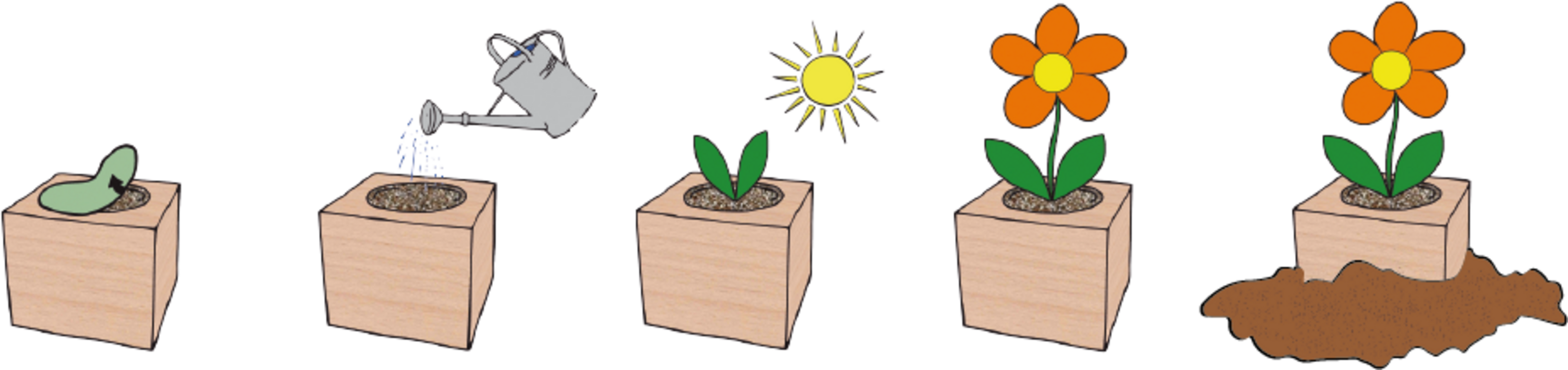  Ecocube "Herzblattklee"