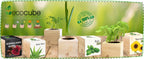 Ecocube "Herzblattklee"