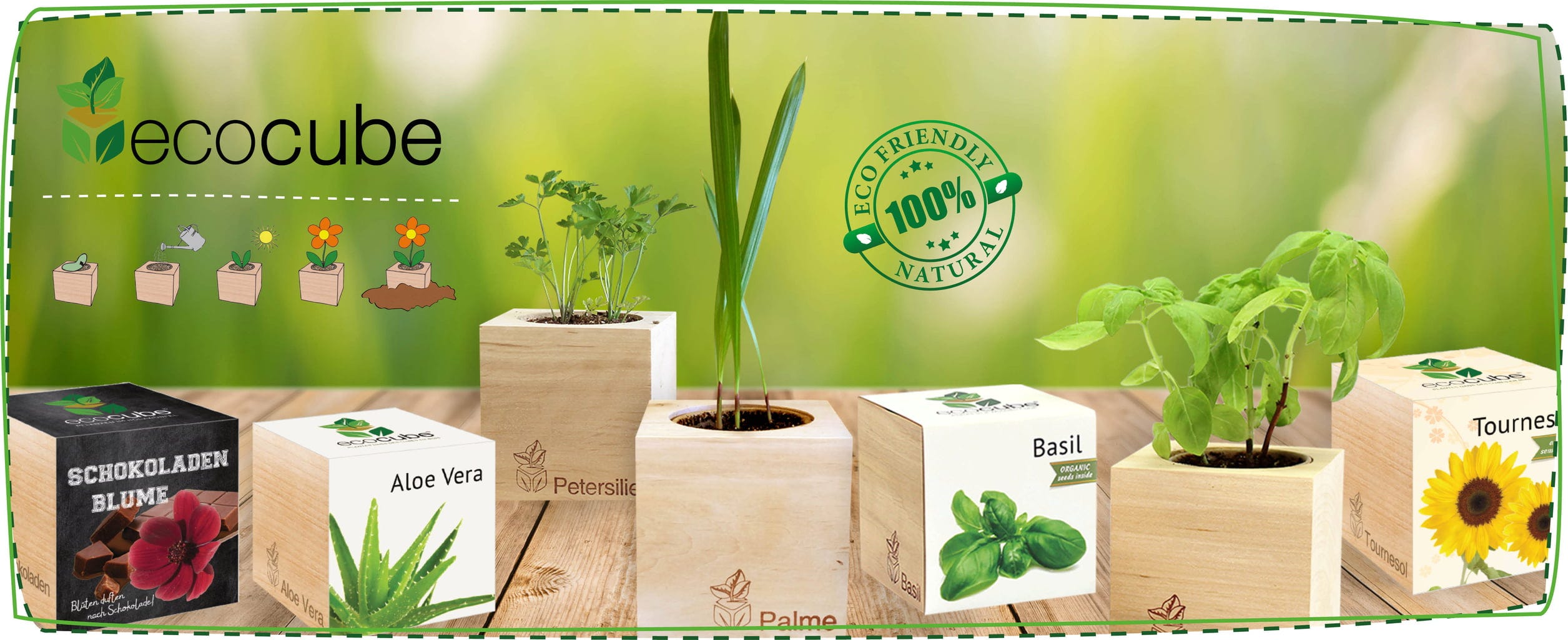  Ecocube "Herzblattklee"