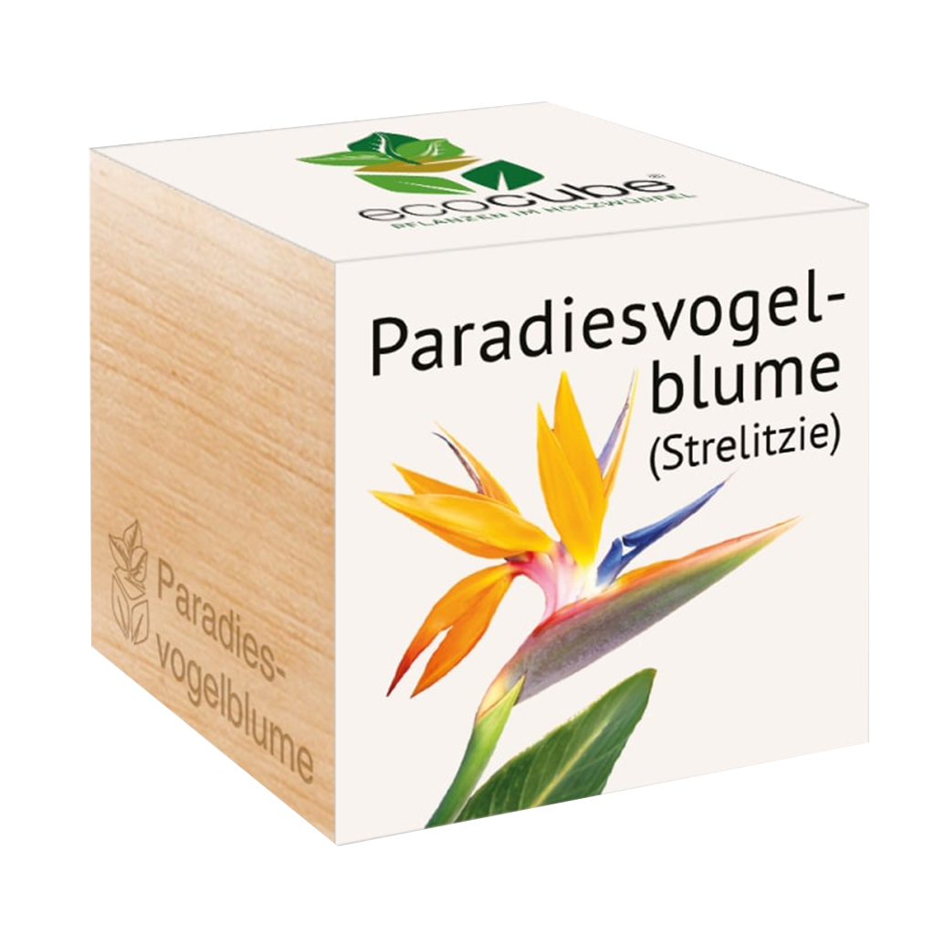  Ecocube "Paradiesvogelblume"