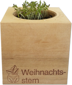  Ecocube "Weihnachtsstern"