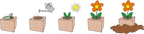  Ecocube "Weihnachtsstern"
