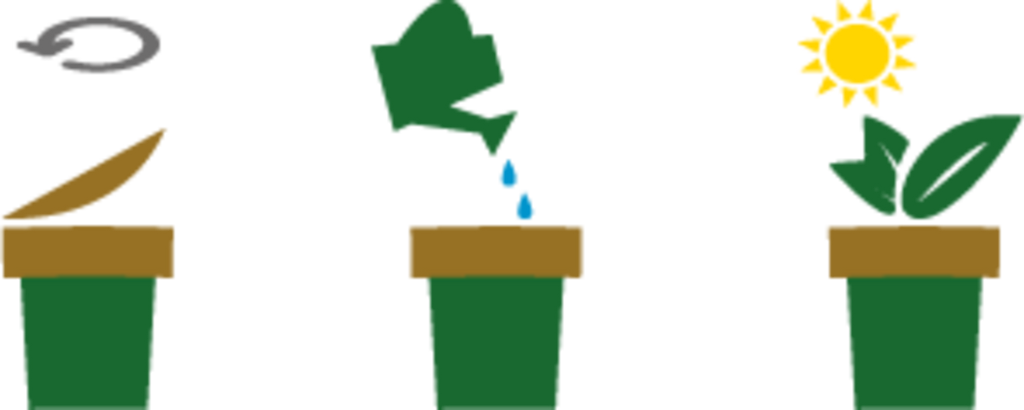  Ecocup "Palme"