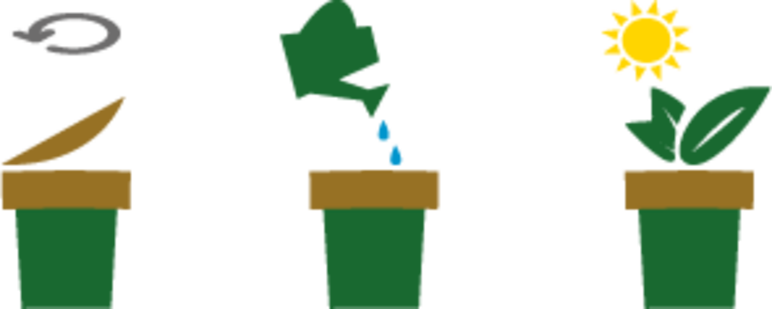  Ecocup "Palme"