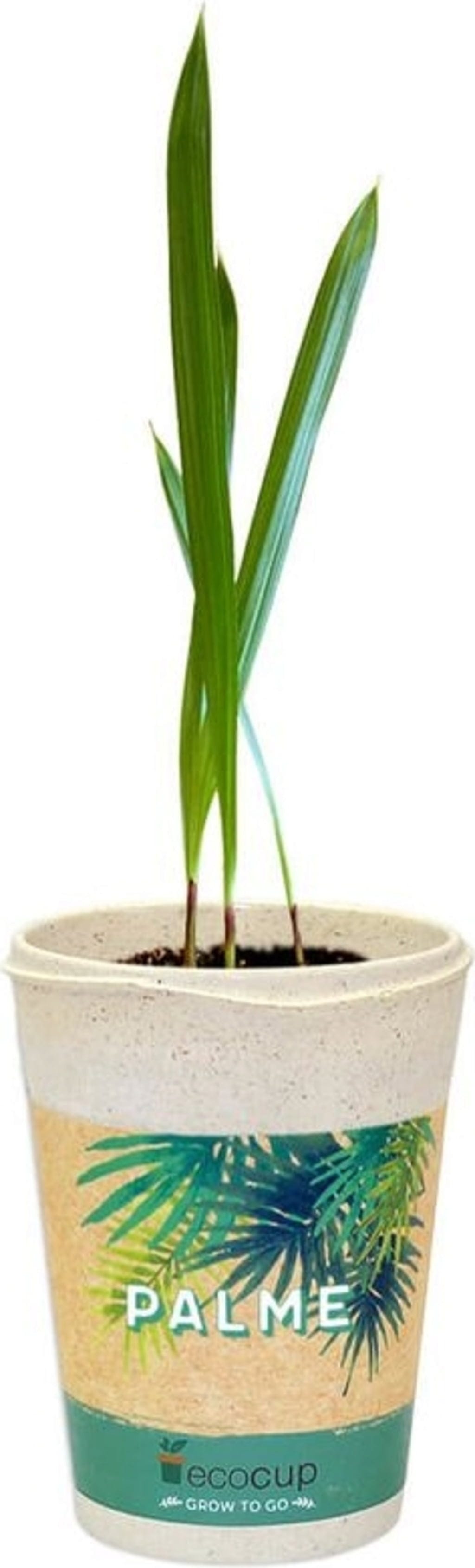  Ecocup "Palme"