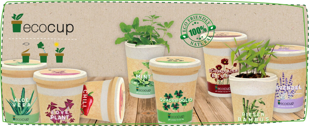  Ecocup "Palme"