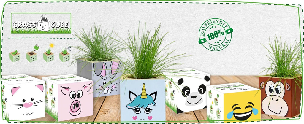  Grass Cube "Hase"