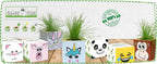 Grass Cube "Hase"