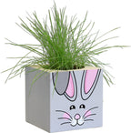  Grass Cube "Hase"